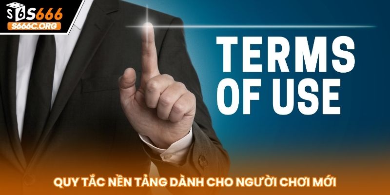 Điều khoản sử dụng