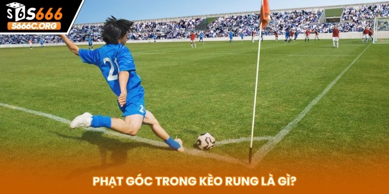 Kèo Rung Là Gì? Cách Chơi, Mẹo Vào Tiền Chuẩn Từng Giây kèo rung là gì