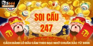 soi cầu 247