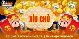 xỉu chủ là gì